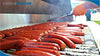 Barbeque 24 in x 48 in